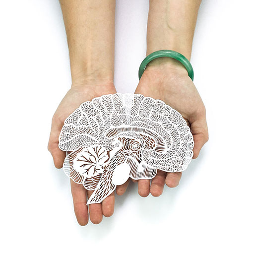 papercutting brain