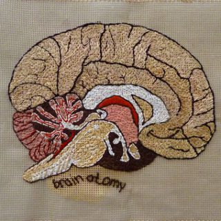 Afbeelding van Lucienne Lubbers via www.stichyourbrain.com. Een fantastisch project van Monica Auch over de intelligentie van onze handen en het effect van creëren op gezondheid en ons welbevinden.